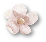 flower_2_4